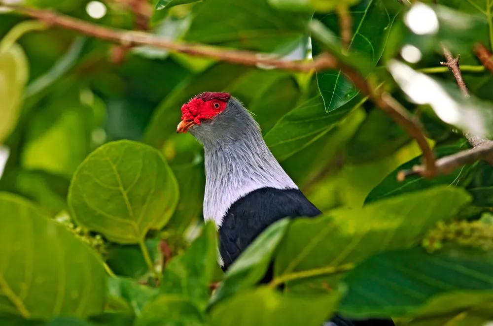 The Essential Guide to Hiking in the Seychelles -